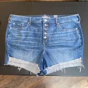 #T903- NWT- Torrid Button-Fly Jean Shorts in Classic Blue-22W